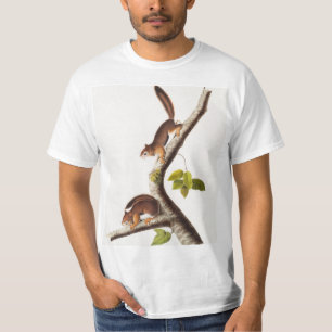 Camiseta Ilustração do Esquilo Columbiano de Richardson