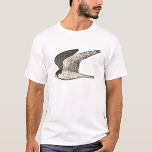Camiseta Ilustração do lápis do falcão de peregrino
