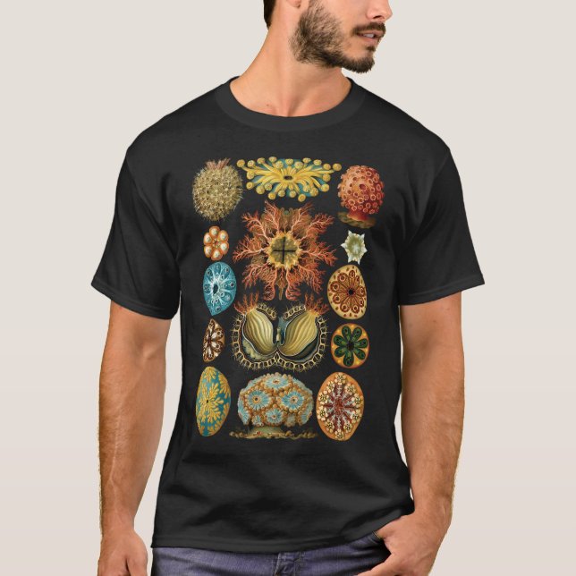 Camiseta Ilustração Haeckel (Frente)