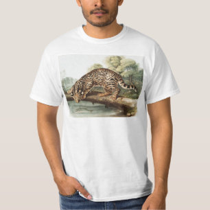 Camiseta Ilustração Ocelot, Gato-Leopardo (Felis pardalis