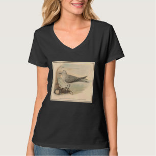 Camiseta Ilustração Vintage Seagull 1906