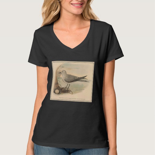 Camiseta Ilustração Vintage Seagull 1906 (Frente)