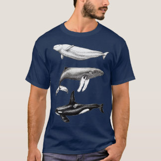 Camiseta Ilustrações de cor da orca de Beluga e da baleia-j