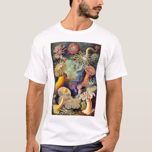 Camiseta Imagem Actiniae Germa Ernst Haeckel (Frente)