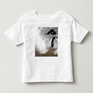 Camiseta imagem da Verdadeiro-cor da neve