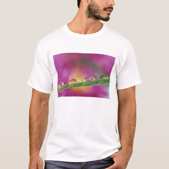 Camiseta Imagem de ásteres formados em gotículas de água (Frente)