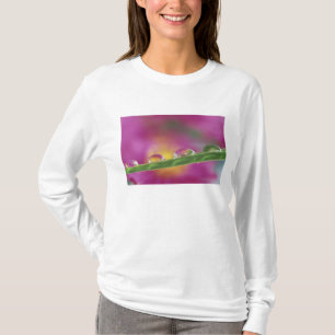 Camiseta Imagem de ásteres formados em gotículas de água