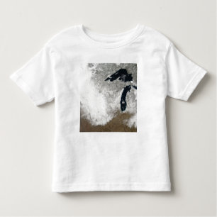Camiseta Imagem de cor verdadeira da neve