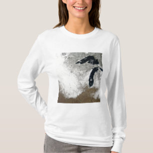 Camiseta Imagem de cor verdadeira da neve