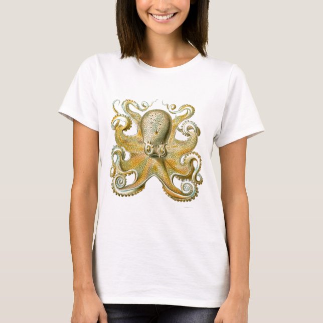 Camiseta Imagem linda de polvo de Haeckel (Frente)