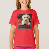 Imagens Getty | Puppia Em Sofá