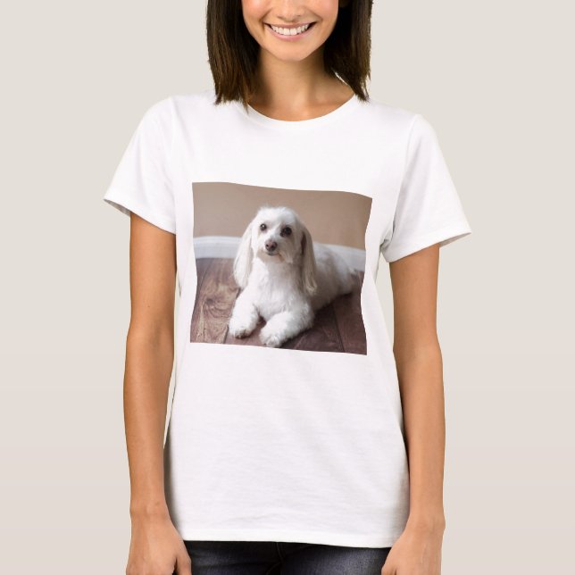 CAMISETA IMG_4050 (Frente)