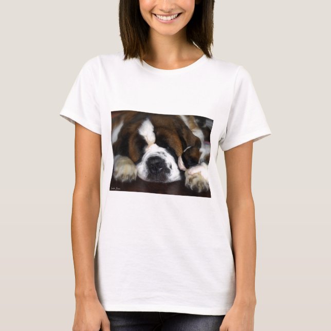 CAMISETA IMG_4069 (Frente)