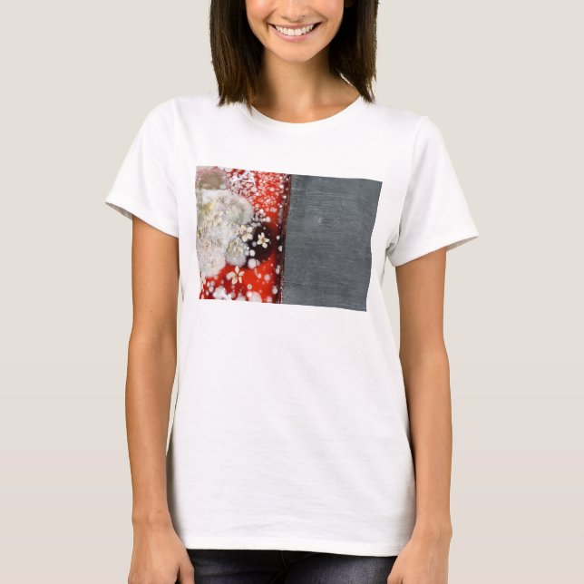 Camiseta Imortalidade 2 (Frente)