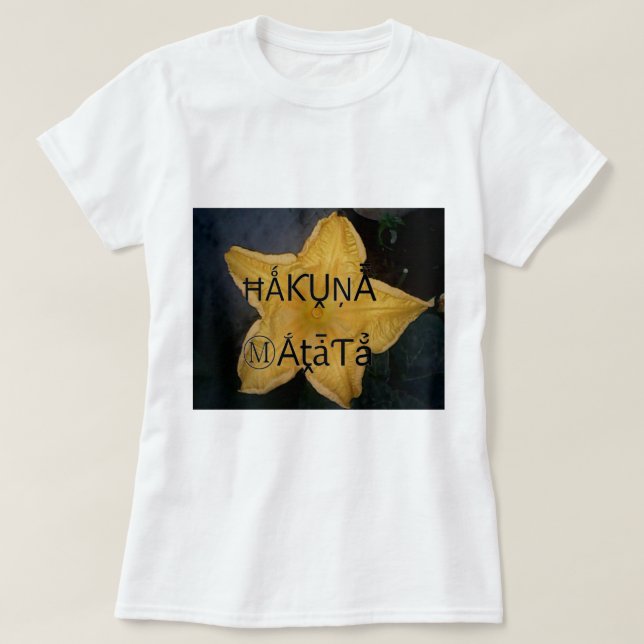 Camiseta Impressão de Arte do Ouro Star Hakuna Matata (Frente do Design)