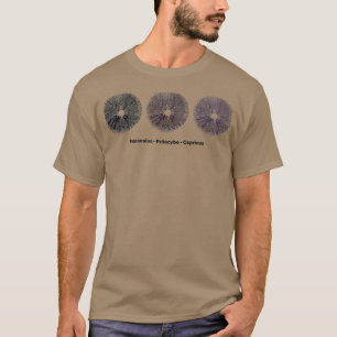 Camiseta Impressão de esporo roxo, castanho-preto,