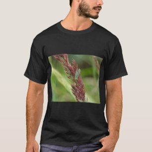 Camiseta Impressão de Lacewing Insect Nature Tee