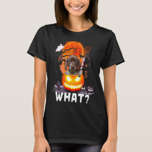 Camiseta Impressora Alemã Shorthaire Que Shorthaire Alemão