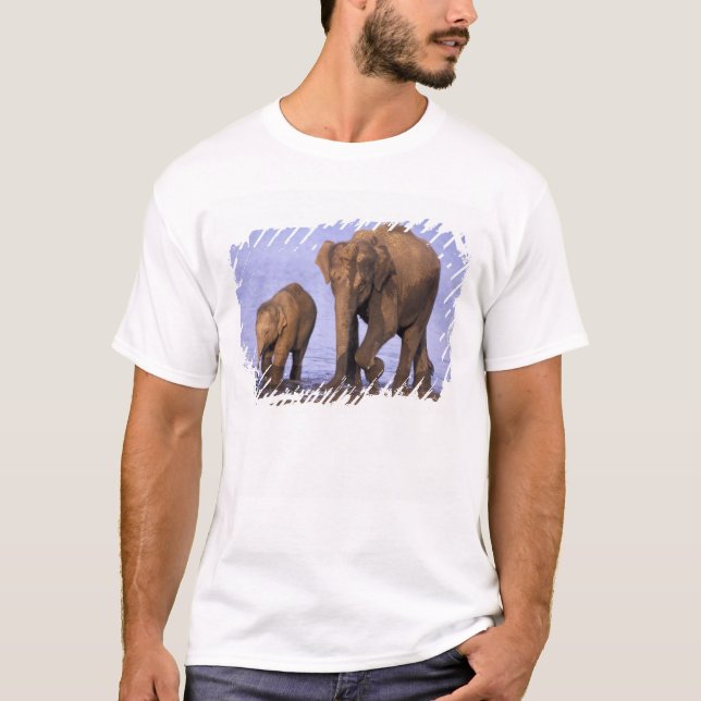 Camiseta Índia, Parque Nacional Nagarhole. Elefante asiátic (Frente)