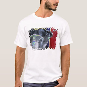 Camiseta Índia, Rajasthan, Jaipur. Forte de Amber.