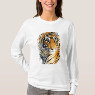 Camiseta Índia, Sawai Madhopur, Ranthambore Nacional