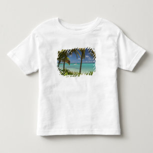 Camiseta Índias Ocidentais Francesas, Guadeloupe, Grande Te