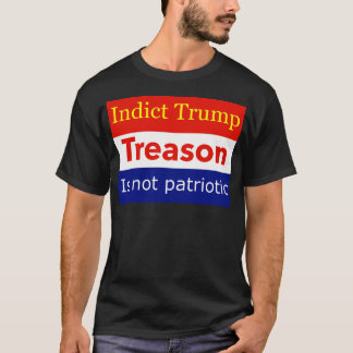 Camiseta Indica Trump