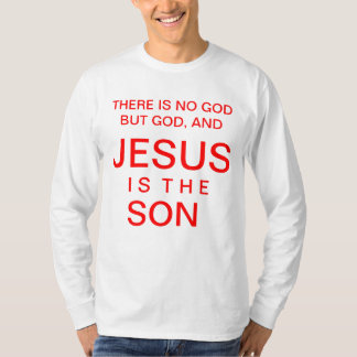 Camiseta Indicação da fé