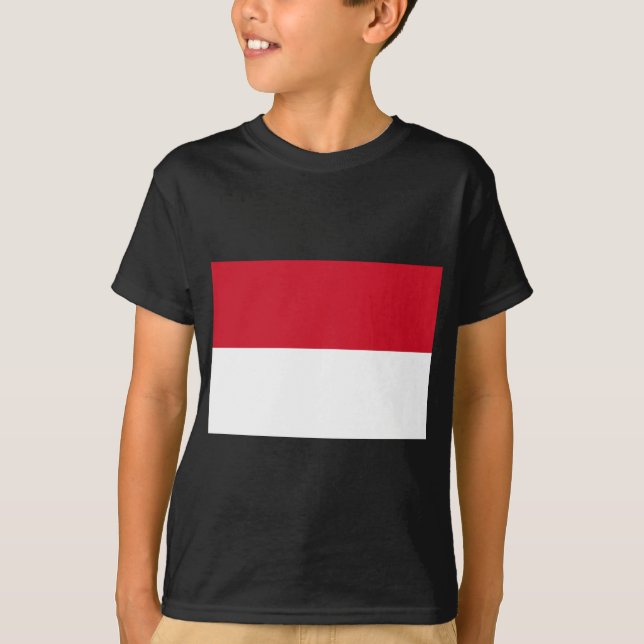 Camiseta indonésia (Frente)