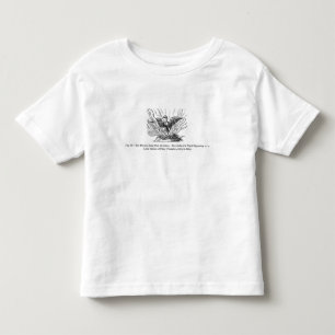 Camiseta Infantil A ascensão de Phoenix de suas cinzas
