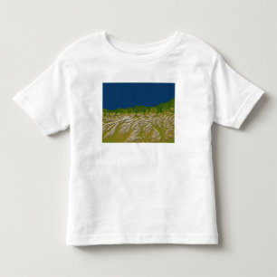 Camiseta Infantil A falha alpina ao longo da costa oeste