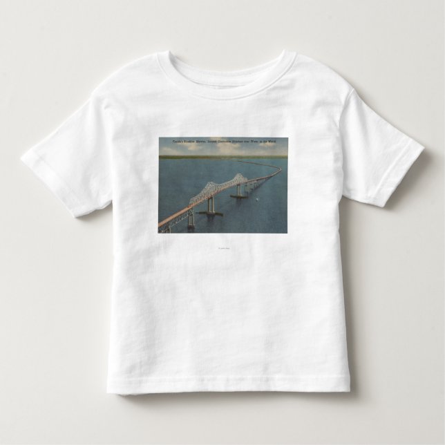 Camiseta Infantil A luz do sol Skyway BridgeFlorida de Florida (Frente)