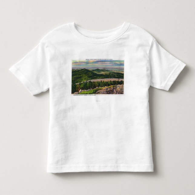 Camiseta Infantil A vista do ò gancho de cabelo gira sobre Hwy (Frente)