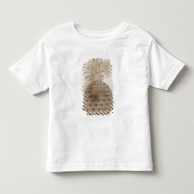 Camiseta Infantil Abacaxi, (Frente)