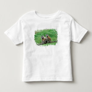 Camiseta Infantil África, Madagáscar, Antananarivo, Tsimbaza