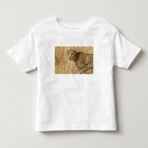Camiseta Infantil África. Quênia. Guepardo no Parque Nacional Sambur