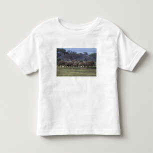 Camiseta Infantil África, Quênia, Parque Nacional de Amboseli. Elefa