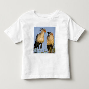 Camiseta Infantil África. Tanzânia. Aves-secretárias em Ndutu