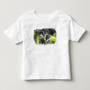 Camiseta Infantil África Uganda, Bwindi