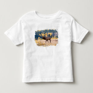 Camiseta Infantil Alce no Parque Nacional das Montanhas Rochosas, Co