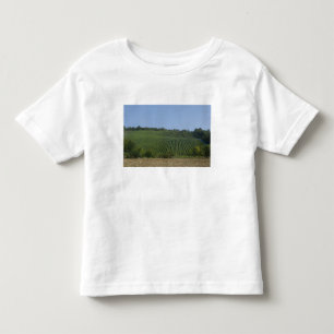 Camiseta Infantil Alemanha, Francônia, Rothenburg. Vista ao longo da