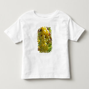Camiseta Infantil Algumas Chasselas na vinha - plantadas há muito