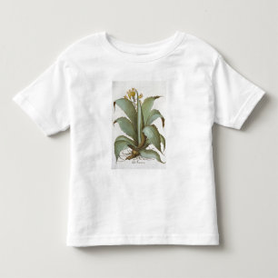 Camiseta Infantil Aloés americano: Americana do aloés, 'do Hortus