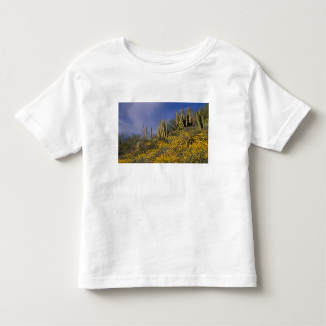 Camiseta Infantil América do Norte, EUA, Arizona, Organ Pipe Cactus (Frente)