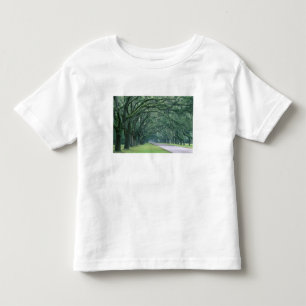 Camiseta Infantil América do Norte, EUA, Geórgia, Savannah,