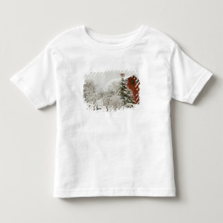Camiseta Infantil América do Norte, EUA, WA, Ilha Whidbey.