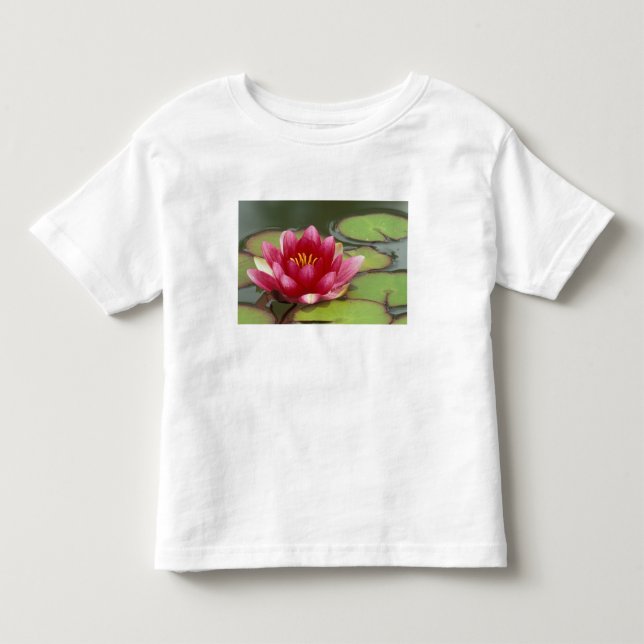 Camiseta Infantil América do Norte, EUA, WA, Seattle, Woodland Park (Frente)
