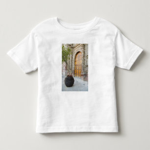 Camiseta Infantil América do Norte, México, estado de Guanajuato, Sa