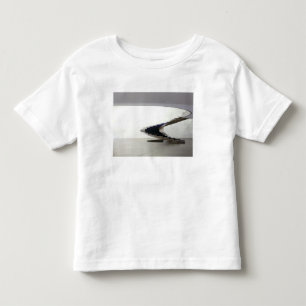 Camiseta Infantil América do Sul, Brasil, Brasília. Interior