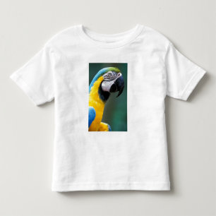 Camiseta Infantil América do Sul, Brasil, Parque Nacional do Iguaçu,